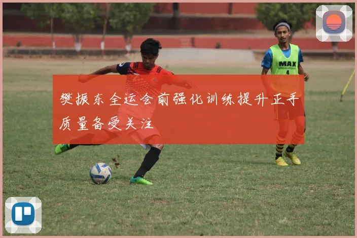 樊振东全运会前强化训练提升正手质量备受关注