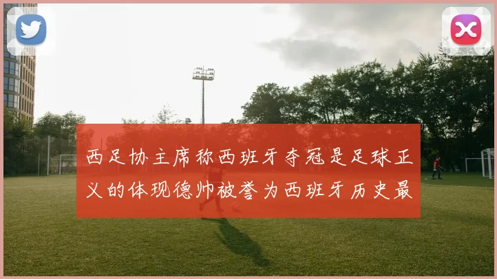 西足协主席称西班牙夺冠是足球正义的体现德帅被誉为西班牙历史最佳教练